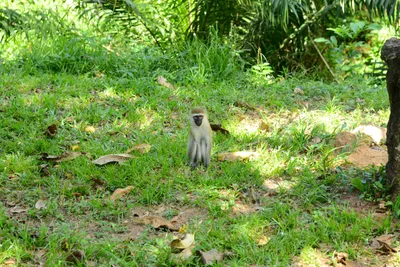 DSC_7948 (Large).JPG